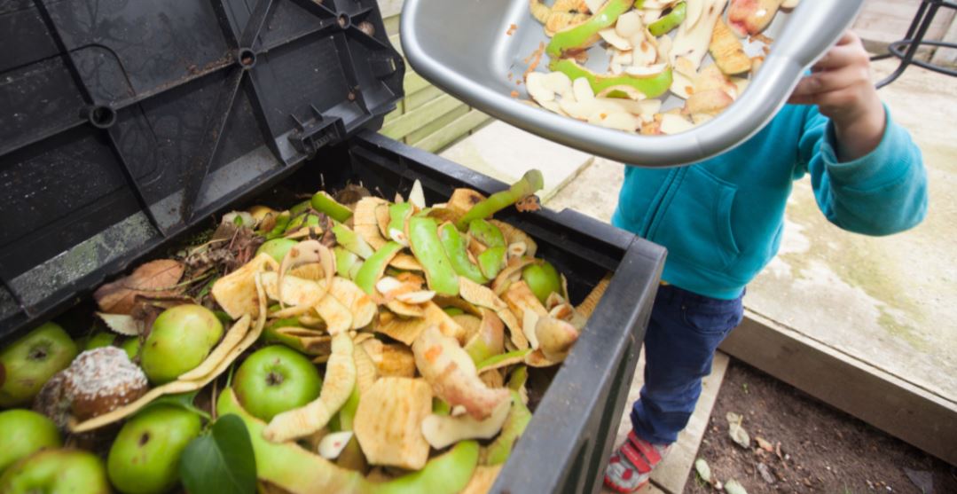 Food waste being sorted for diversion